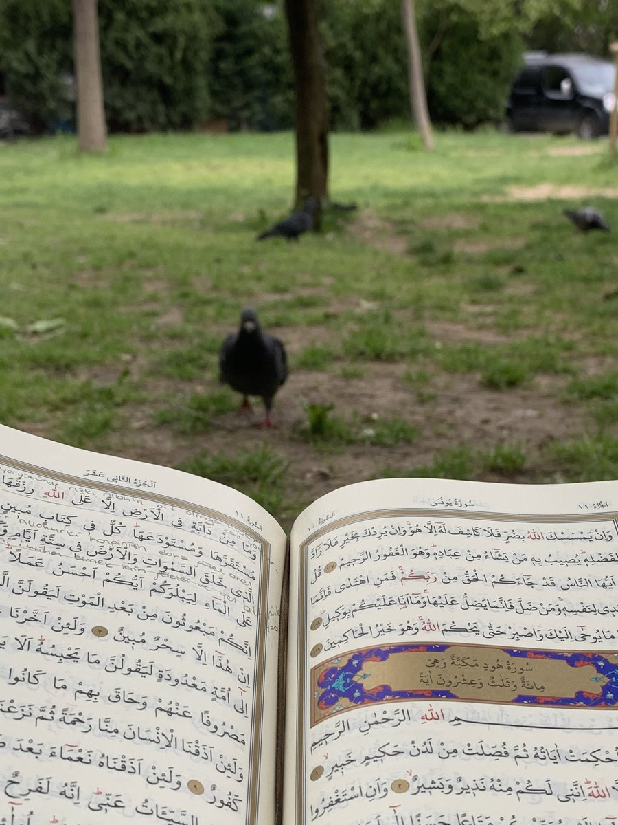 Allah’a güven, sa’ye sarıl, hikmete râm ol. Yol varsa budur, bilmiyorum başka çıkar yol.
 |Mehmet Akif Ersoy