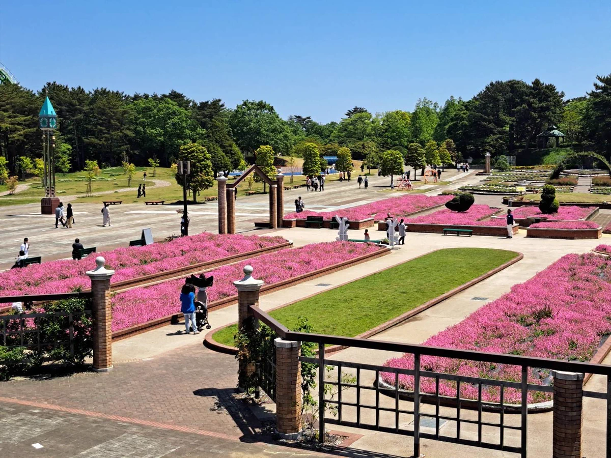 国営ひたち海浜公園プレジャーガーデン【公式】 (@pleple_garden) / X