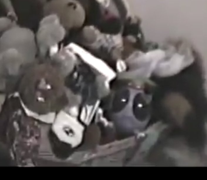 eggie_slut's tweet photo. does anyone remember this weird alien toy that vibrates from the 90’s early 2000’s? https://t.co/bhbzRHjFEm