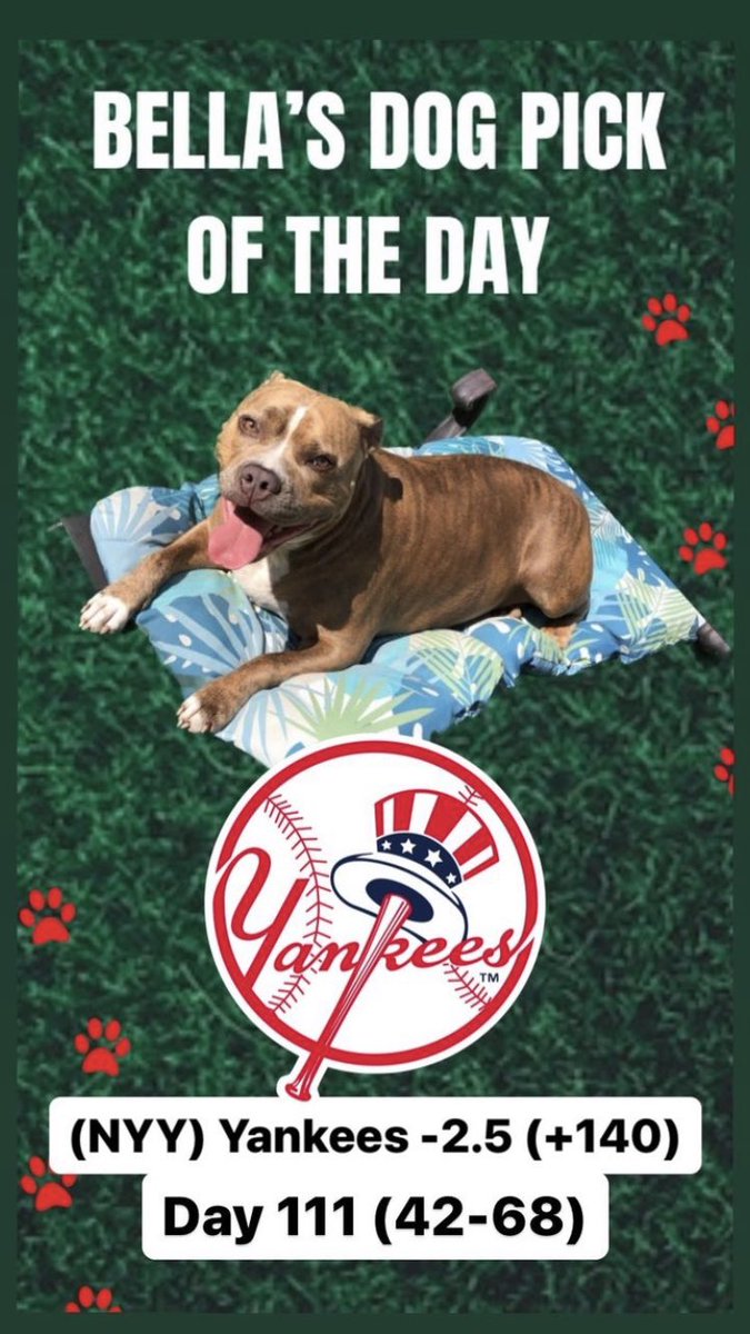 TheLocksOTD's tweet photo. 🐶BELLA'S DOG LOCK OTD🐶
‼️Overall Units +1045‼️
🔥BELLA IS ON FIRE🔥
⚾️(NYY) Yankees -2.5 (+140)
#MLB #MLBPicks #Yankees #NYY #NY #NewYork #Betting #GamblingTwitter #Yanks #AaronJudge #Bella #Dog #Dogs #DogPicks #DogBets https://t.co/ENFz9LiIBG