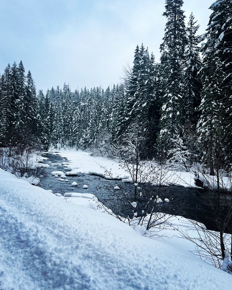 MidRdAdventure's tweet image. Little Naches