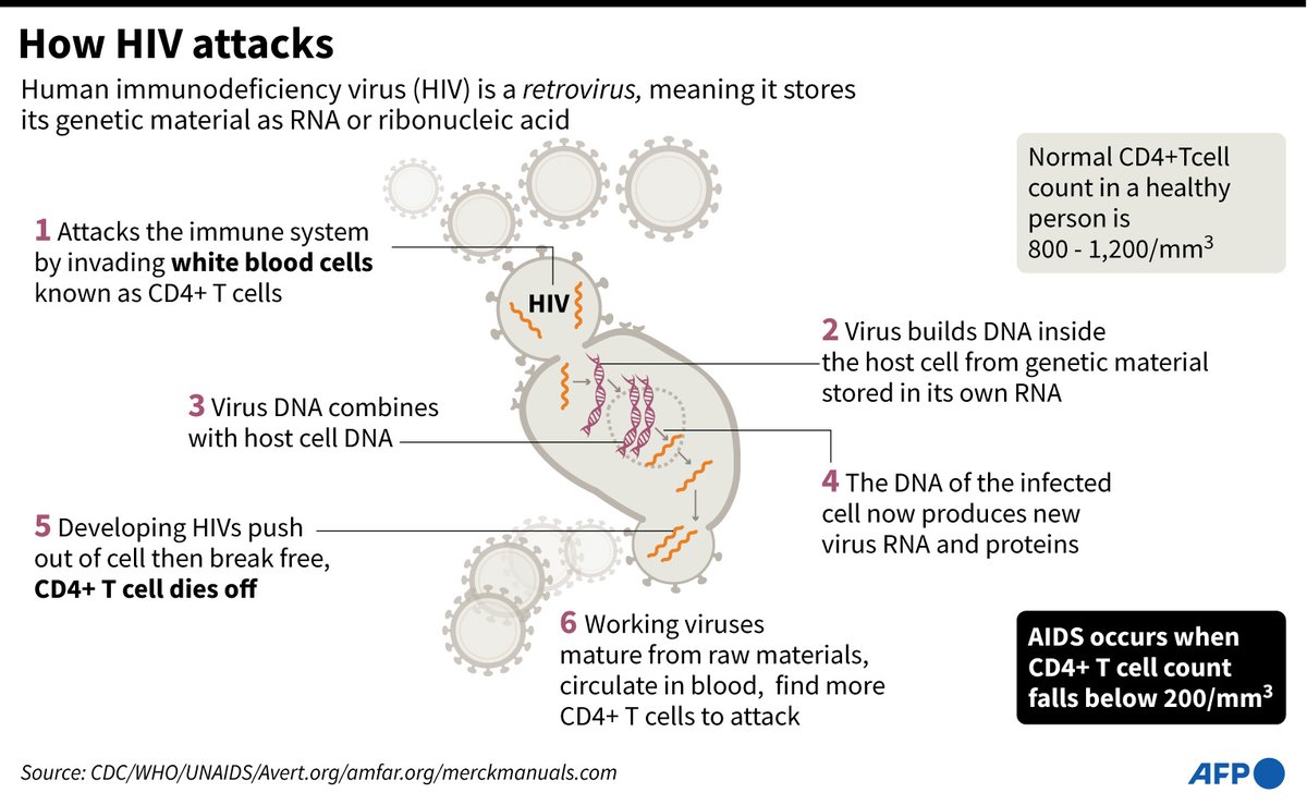AFPGraphicsRT's tweet image. RT @AFP: Forty years after the discovery of HIV, @AFP looks at how far we have come in fighting a deadly virus that was once shrouded in fear and shame but is now treated as a manageable chronic condition
u.afp.com/ibZL
#AFPGraphics: How HIV …
