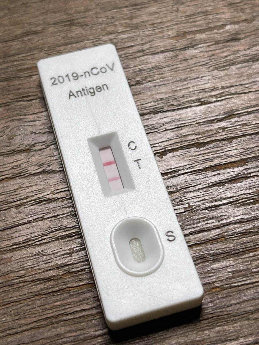 YOMMATOOD tweet media