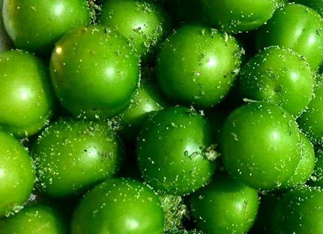 Mohamad Hashemi tweet media