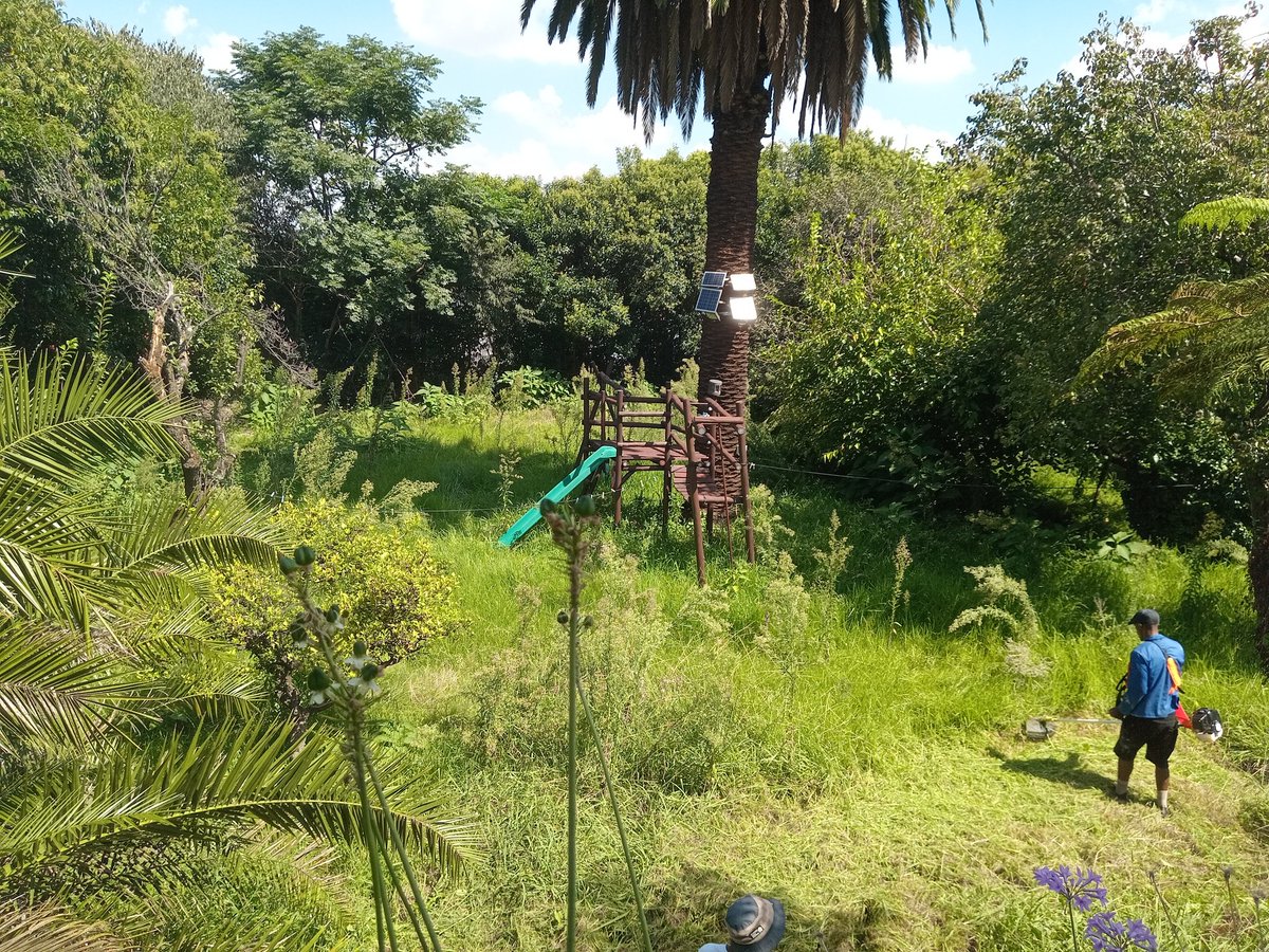 crowd1midrand's tweet photo. Tx group solutlon is the company deal with garder services and grass cutting ,churches  and plots  pls call or whatsapp  0783454063 #Sizokuthola #Sizokuthola #ThaboBester #drnandiphamagudumana #Limpopo #sowetoderby https://t.co/G2i8SNkXKF