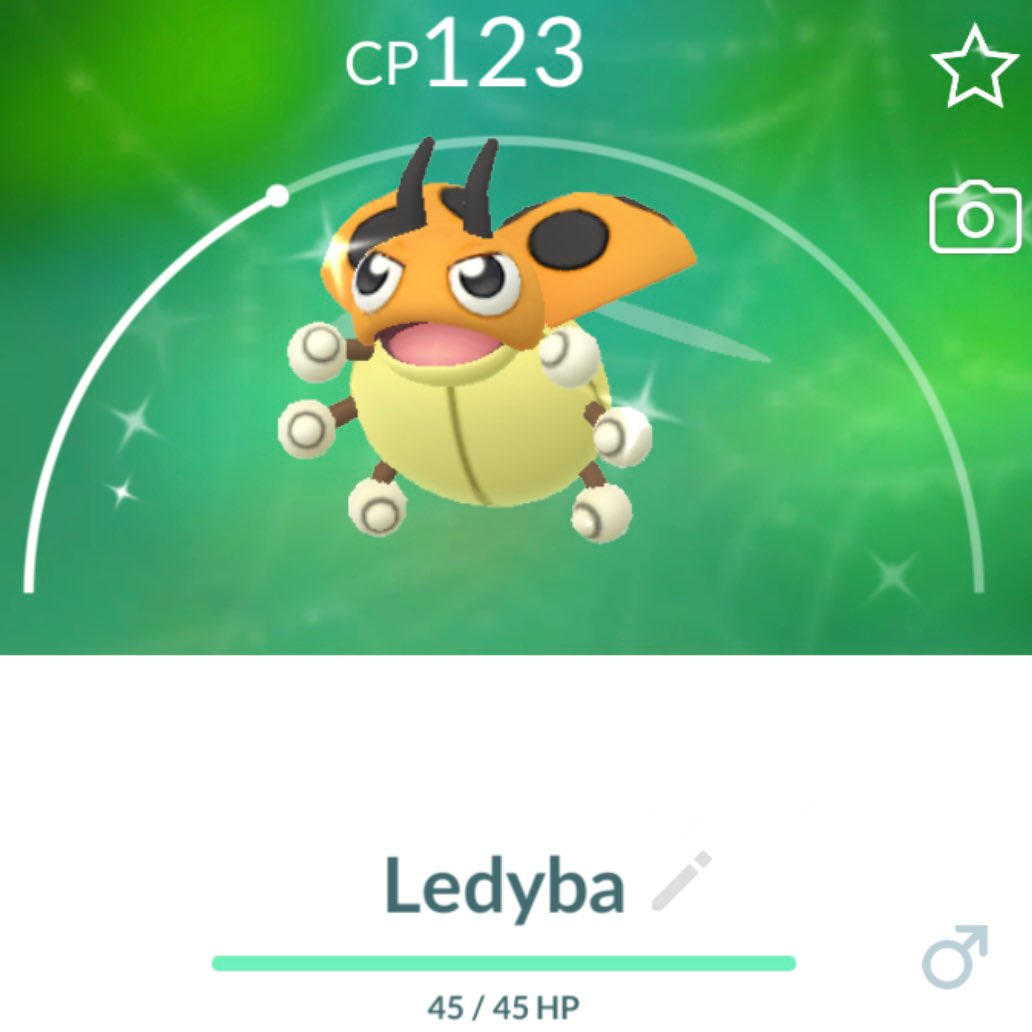 SwirlyKath's tweet photo. #ShinyLedyba ✨🐞#PokemonGo https://t.co/KgGF5g3xqy