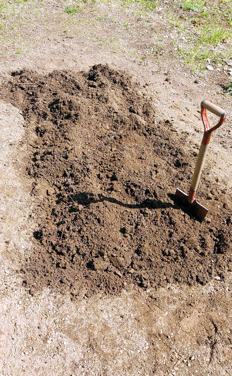 「愚母の指示通りに、畑を起したのだが……  死体を埋めた跡にしか見えねぇ。」|浅利与一義遠のイラスト