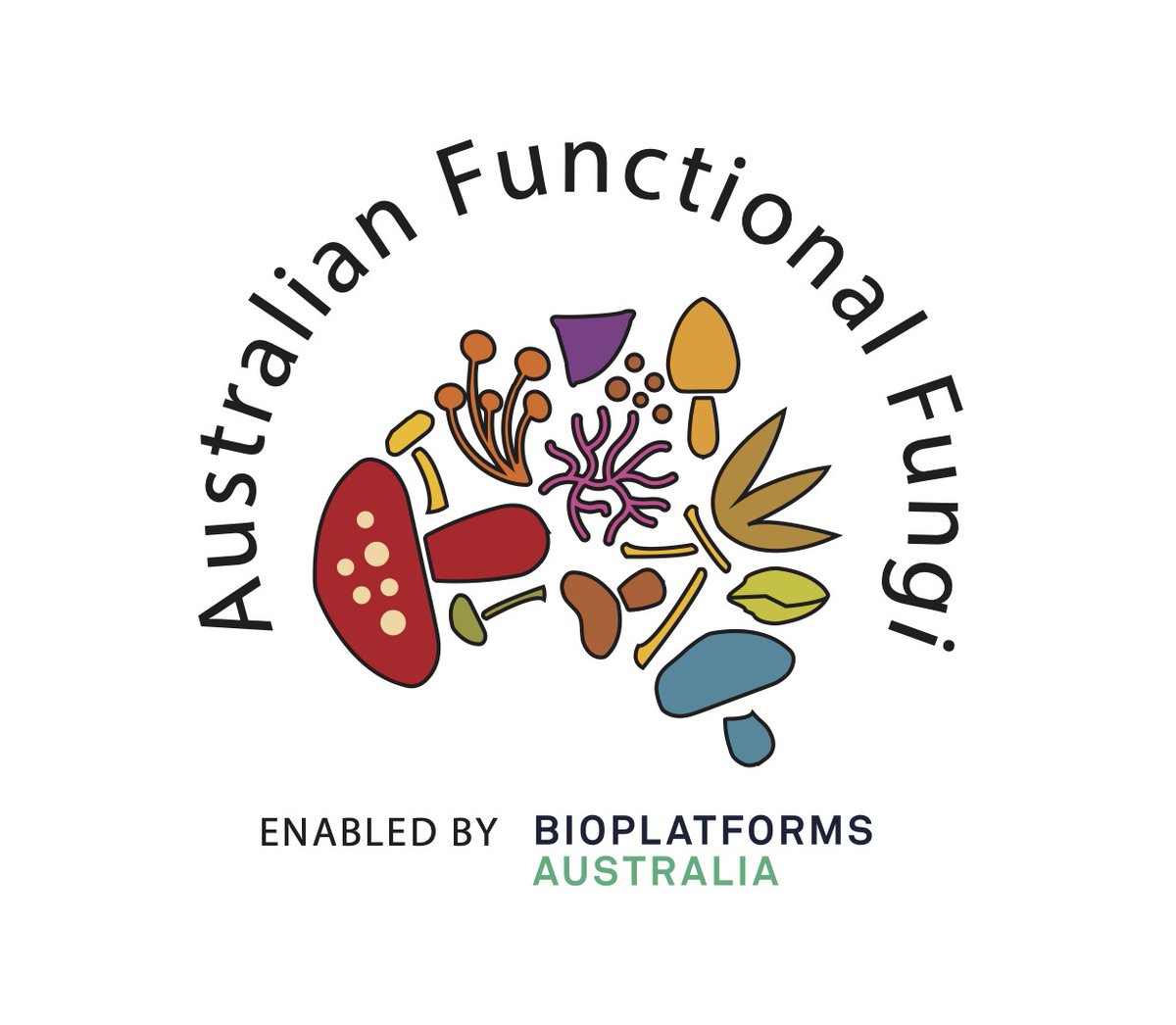 The Australian Functional Fungi initiative request for partnerships is now open. We are seeking to create foundational biomolecular data resources to fast-track knowledge and innovation of Australian 🍄! Information through the link below, get in touch! bioplatforms.com/news/fungi-rfp…