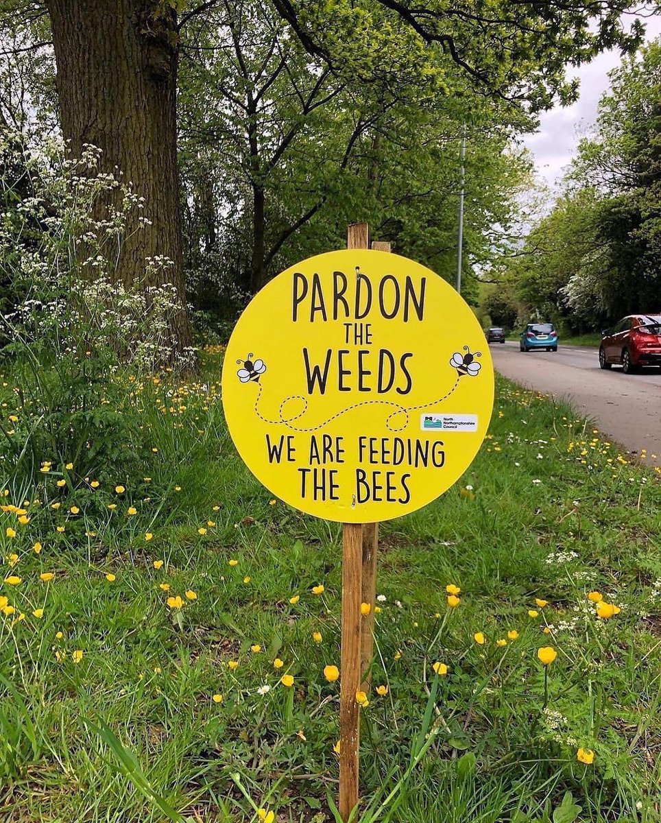 philip_ciwf's tweet image. #NoMowMay 🐝🦋🐞🪲🕷️❤️