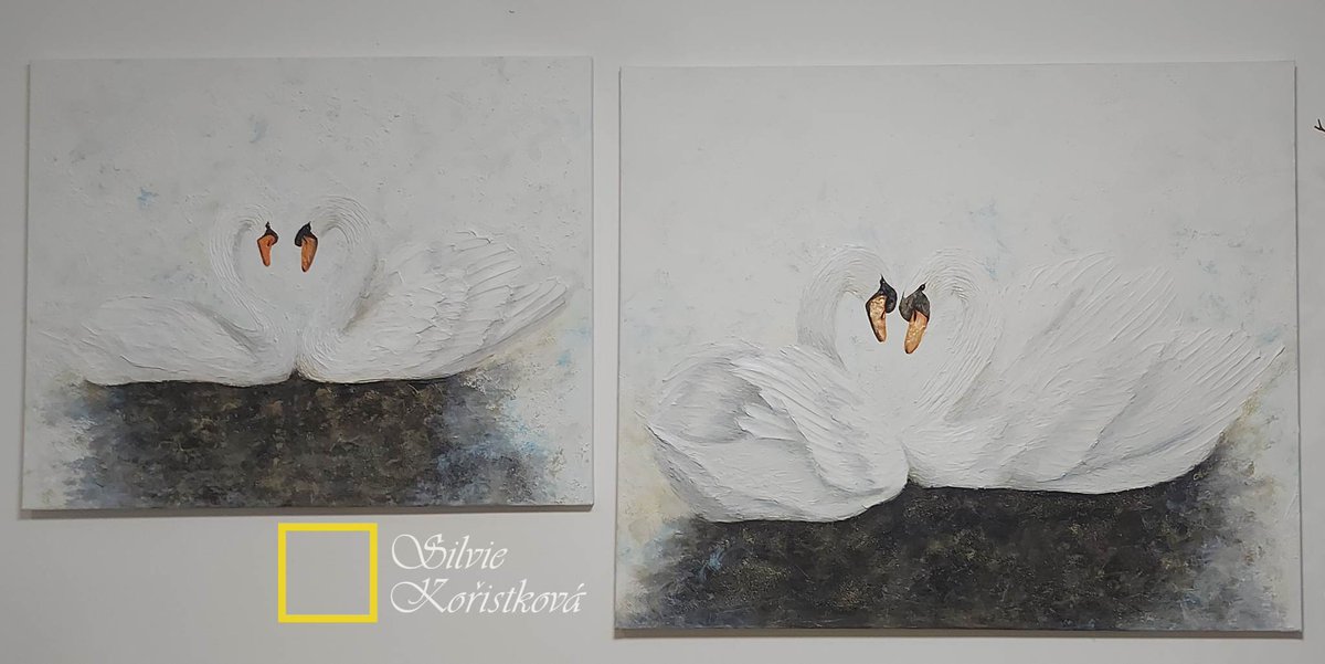 ArtSisi's tweet photo. 🦢🦢🦢🦢
The custom swan painting is finished.
https://t.co/QUg6pj9uPP

#silviekoristkova #art #fidelity #swan #love #umeni #obraznastenu  #obraz #love  #labut #wallart #modernart #design #dekorace #decor #sztuka https://t.co/y4GzVTkLWA