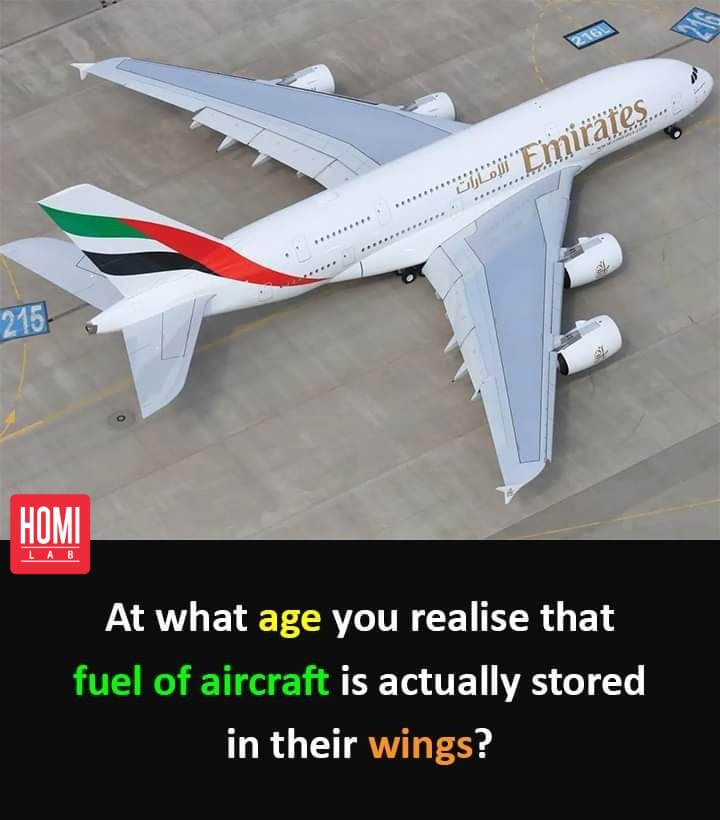 Have you ever wondered where the fuel of an aircraft is stored? 🛬

Did you know that it's actually stored in the wings? 🤔

At what age did you realize this? Answers below! ⬇️

#aviation #fuelstorage #aircraftwings #curiousminds #commentbelow #knowledge