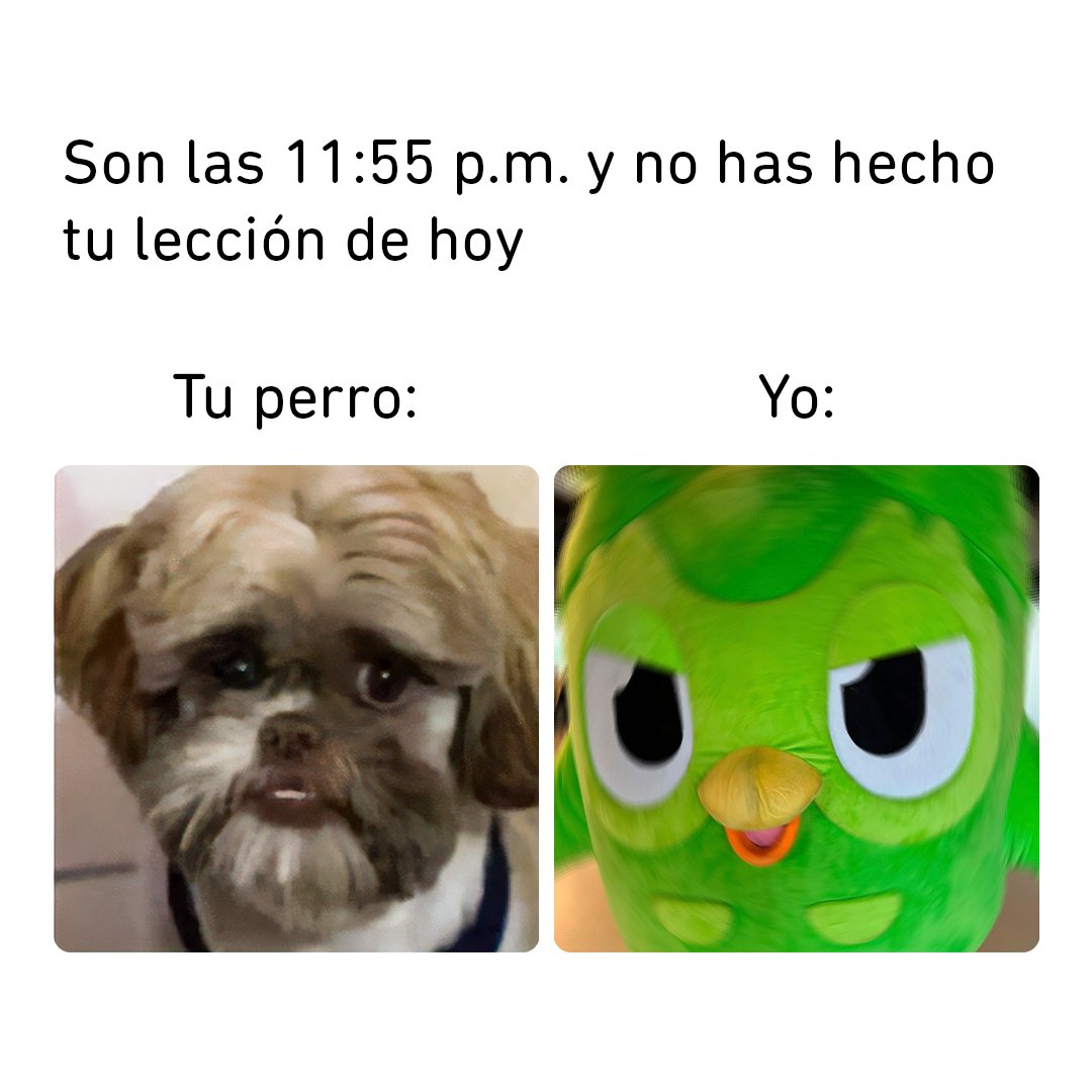 Duolingo Español tweet media