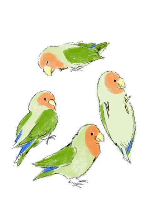 「ツイッターを鳥で埋め尽くす」 illustration images(Latest))