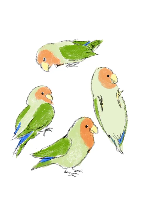 #ツイッターを鳥で埋め尽くす 