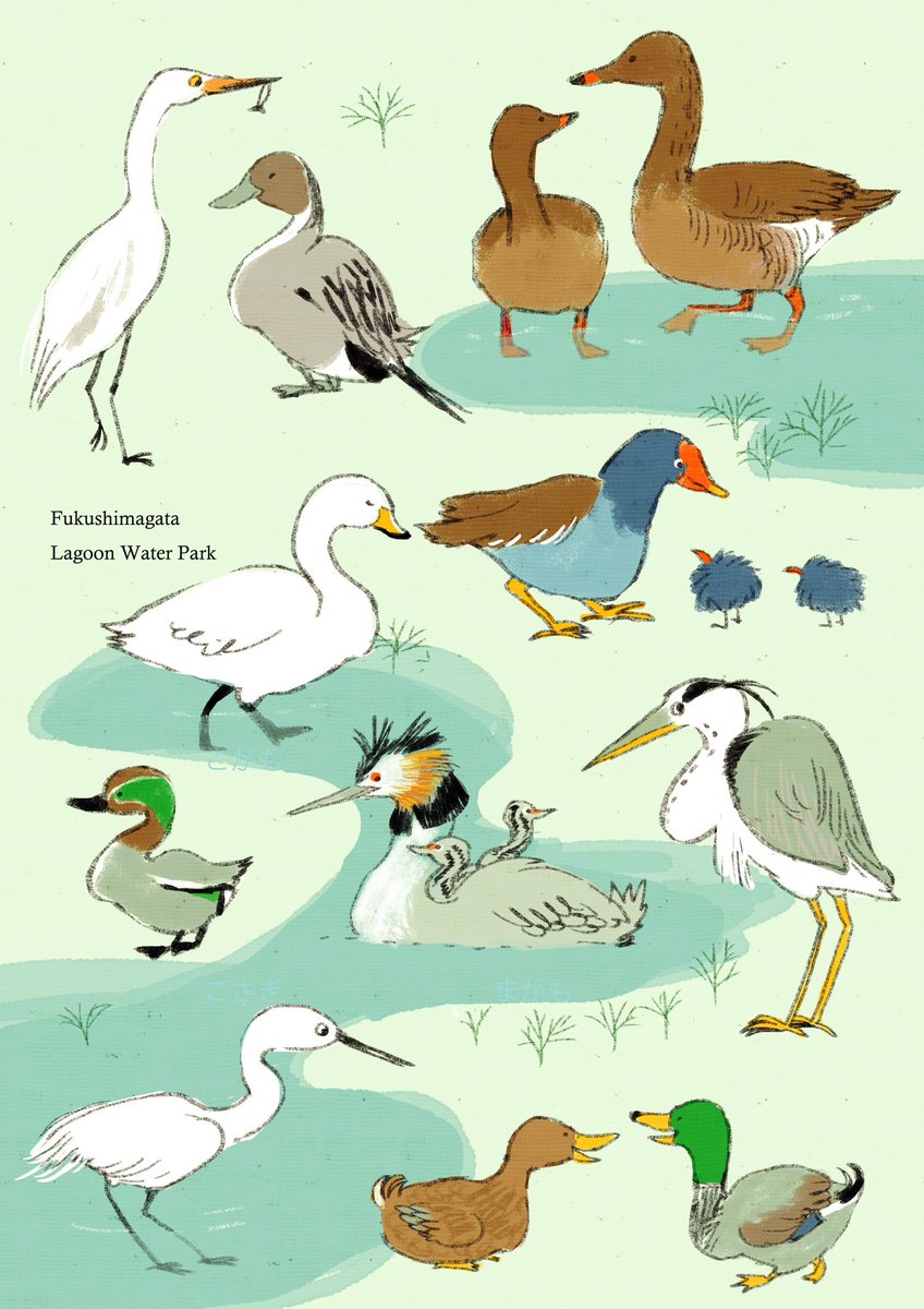 「#ツイッターを鳥で埋め尽くす 」|ももろ　4／20発売絵本「パンダのパクパクきせつのごはん」のイラスト