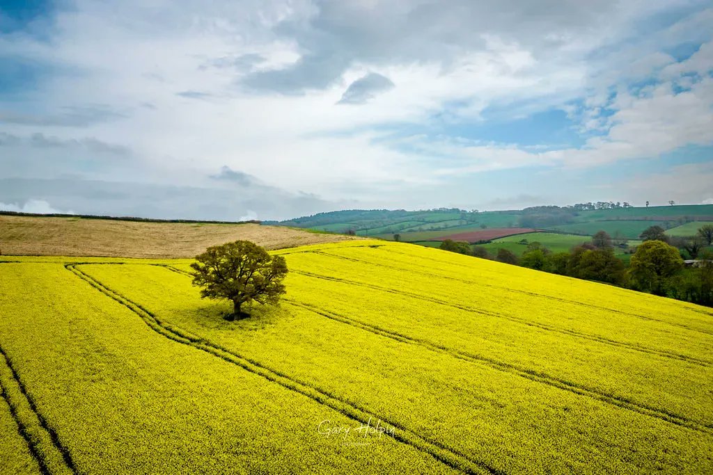 Gary Holpin | Photography tweet media