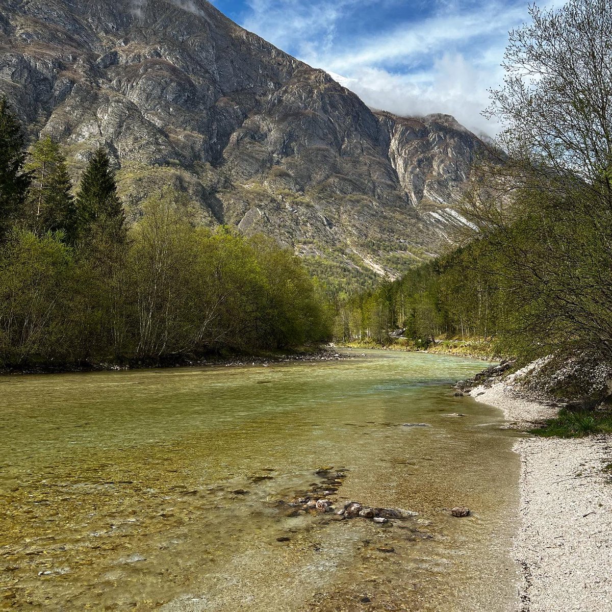MatejGodec's tweet photo. The Day 5 of our #flyfishing with Sten was very relaxed with lots of action in the water. Sten had mastered the necessary technique on his trip #socariver_tour with #flyfishingodec #slovenia and was very successful. https://t.co/kTXWue0Ijm