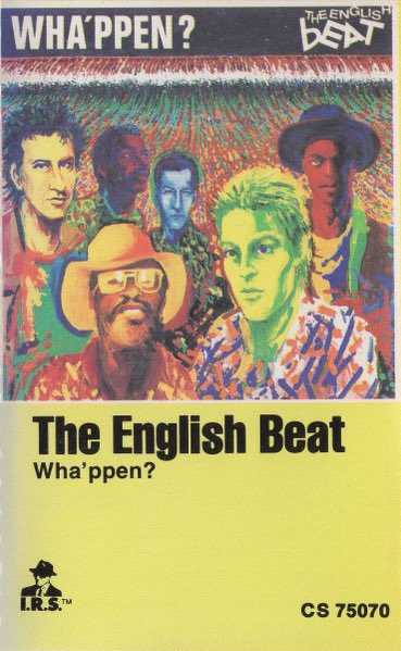 Lee Stevens tweet media