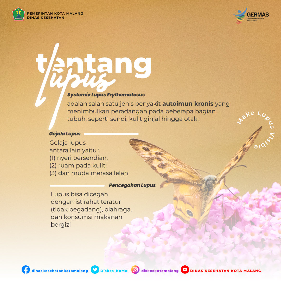 Halo #Nawakhealthies
Hari lupus sedunia tahun ini membawa tema Make Lupus Visible, besar harapan kita bahwa mengetahui lebih awal tentang lupus

<a href="/KemenkesRI/">Kementerian Kesehatan RI</a> <a href="/PemkotMalang/">𝐏𝐞𝐦𝐞𝐫𝐢𝐧𝐭𝐚𝐡 𝐊𝐨𝐭𝐚 𝐌𝐚𝐥𝐚𝐧𝐠</a> <a href="/KominfoMalang/">Dinas Kominfo Kota Malang</a>