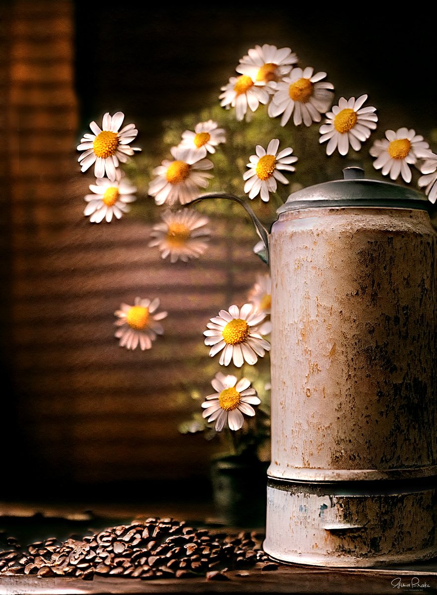 NYC_PH0T0's tweet photo. Farmhouse Coffee and Daisies
#still_life_mood #stilllifes #stillifegallery #stillifepainting #stilllifeart #stilllifephoto #stilllifephotos #stilllifephotographer #stilllifepainting #stilllifegallery https://t.co/wvmmjIVuax