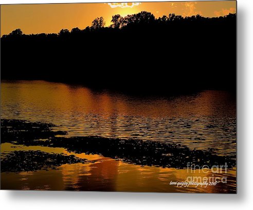 Sunset Blazes Hopewell Lake tami-quigley.pixels.com/featured/sunse… #ThePhotoHour #ArtistOnTwitter #AYearForArt #BuyIntoArt #summer #sunset #goldenhour #art for #MothersDay #giftidea #homedecor #wallart #officedecor! @visitPA @DCNRnews #PAStateParks #LehighValley #FrenchCreekStatePark #photoart