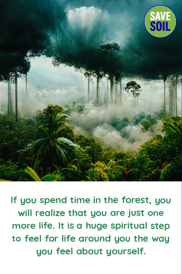 arun_bkarmaa's tweet photo. If you spend time in the forest, you will realize that you are just one more life. It is a huge spiritual step to feel for life around you the way you feel about yourself. #SadhguruQuotes #savesoil #ConsciousPlanet https://t.co/xfUJwjJwE6