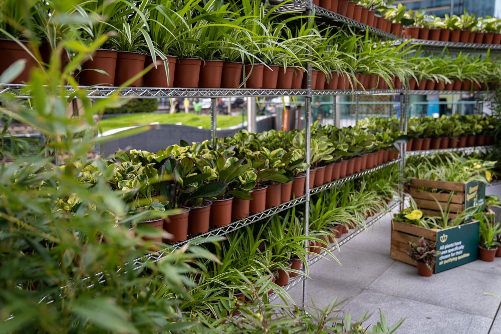 Regent's Place tweet media