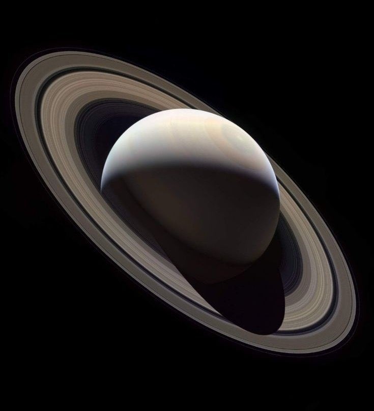 Crypto Tony tweet media