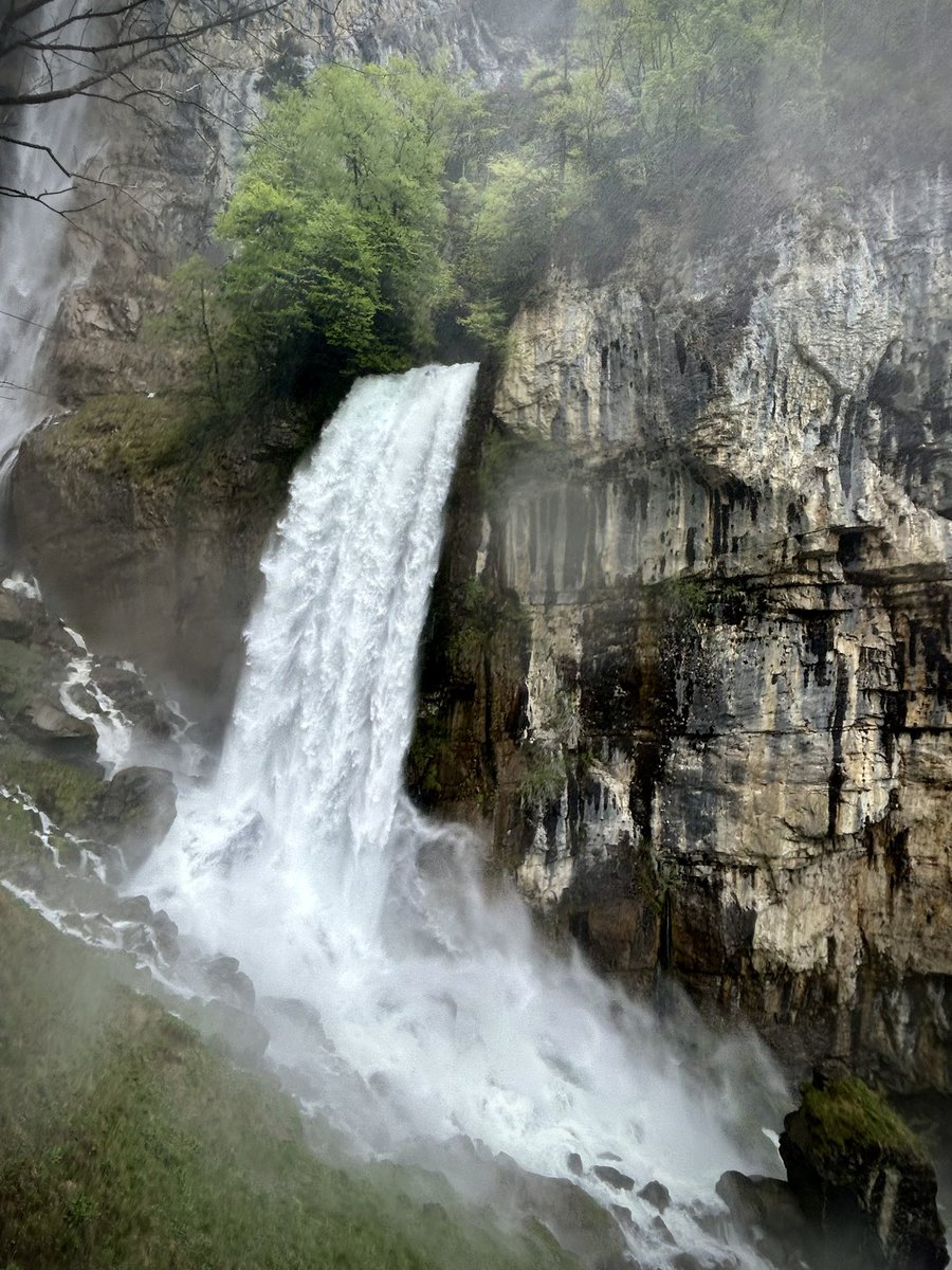 roar and splendour 
#Seerenbach #peace #waterfall