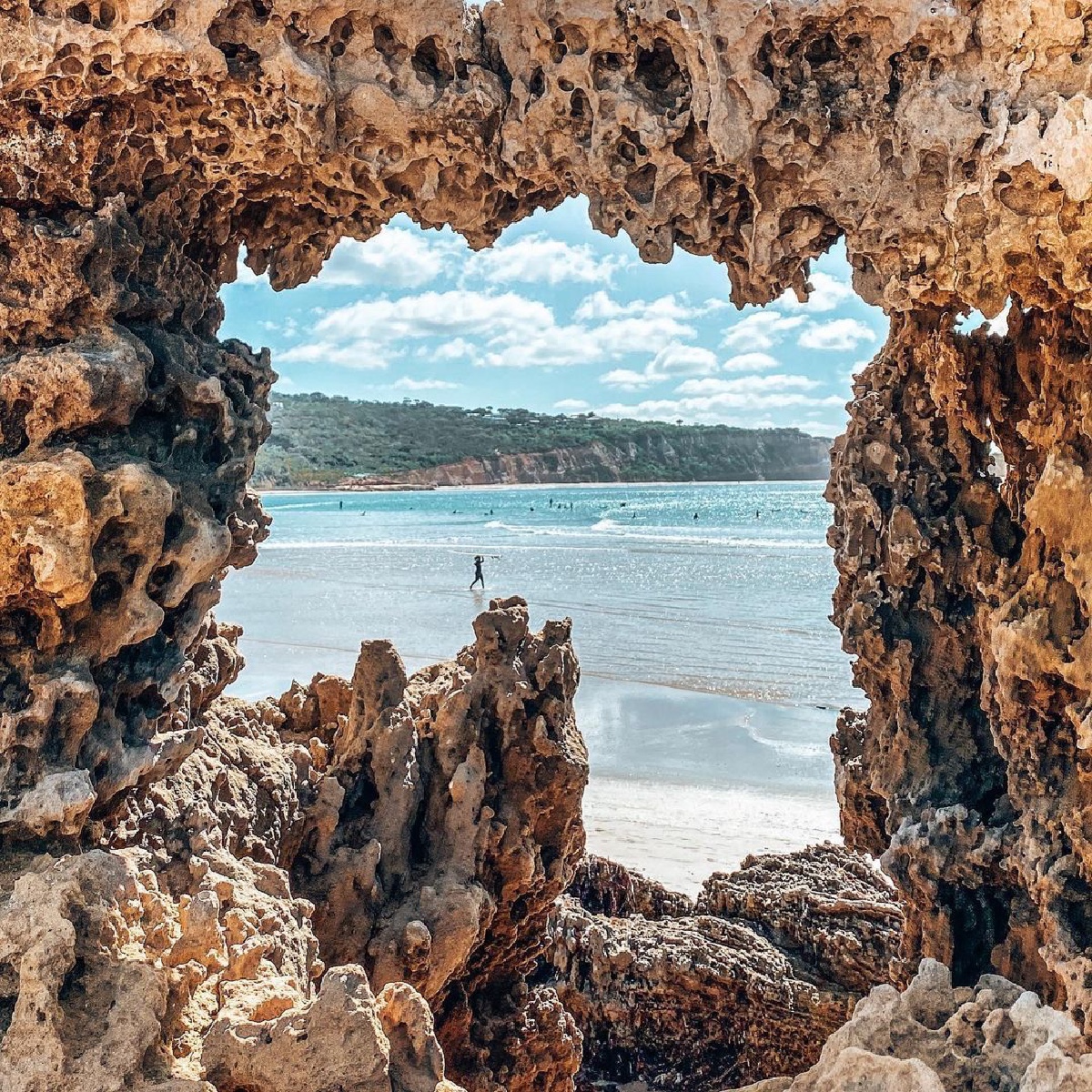 MaximusCampers's tweet photo. Hole-y Moly!
You are looking mighty fine, Melbourne.
This picture-perfect spot can be found
just 1.5 hours from Melbourne.
Point Roadknight on the Great Ocean Road.
Victoria
#seeaustralia
@micro_adventurist
#holymoly #mightyfine #Melbourne #pictureperfect
#pointroadknight https://t.co/XGiN71IUMD