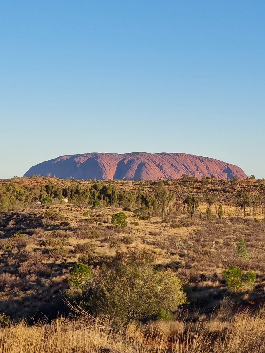 mark worthington tweet media