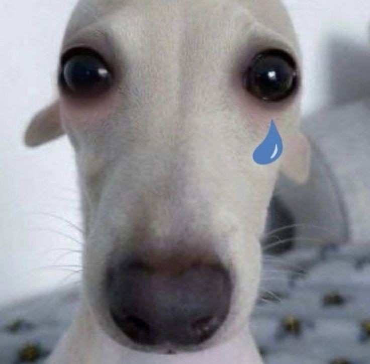 npuy_z's tweet photo. me quiero cortar el cuello https://t.co/YEF13bCXta