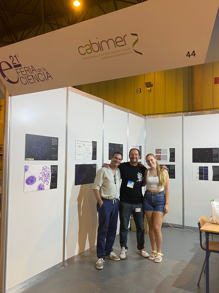 cabimer's tweet photo. Nuestros investigadores ya lo tienen todo casi preparado para que de comienzo la #21FeriaCiencia en @fibesevilla, donde nos esperan tres días repletos de #ciencia. 
¡Os esperamos en el stand número 44! 

@cabimer #FeriaDeLaCiencia https://t.co/QvJIISTOgk