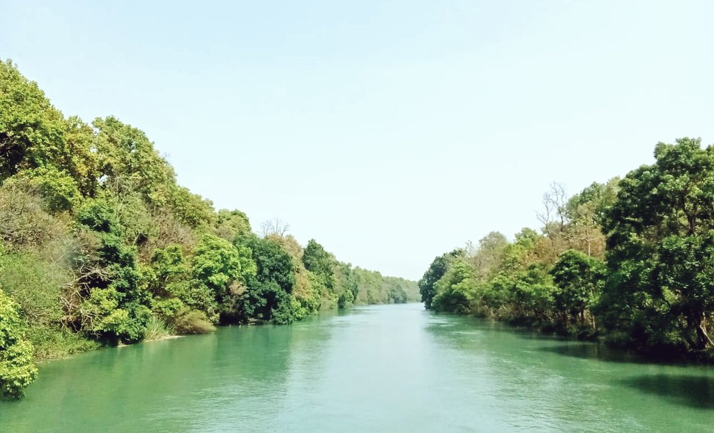 What a silent symphony..