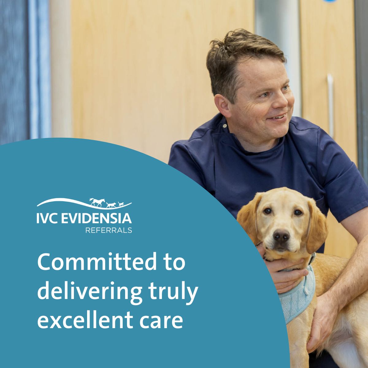 Swift Referrals is a specialist-led veterinary referral centre committed to delivering truly excellent care. Based in Wetherby, West Yorkshire, the multi-disciplined team strive to give animals the best possible life. Discover more ➡️ swiftreferrals.co.uk