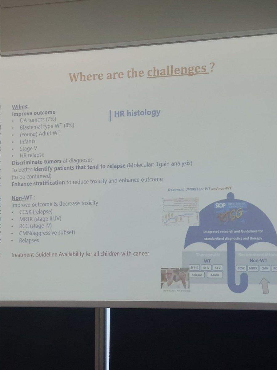 Dr Angela Polanco (@angelapolanco16) on Twitter photo Renal tumour sessions this morning at <a href="/SIOPEurope/">SIOPE ๐๏ธ</a> #SIOPEurope23 outlines the challenges for research #curewilms Renal tumour sessions this morning at <a href="/SIOPEurope/">SIOPE ๐๏ธ</a> #SIOPEurope23 outlines the challenges for research #curewilms