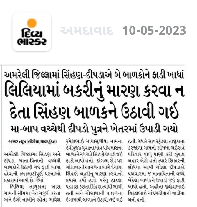 dharmik_vala's tweet photo. અમરેલી જિલ્લામાં સિંહ - દીપડાના પરિવારનો માનવ સાથે સંઘર્ષ વધ્યો છે. વધતી વસ્તી વચ્ચે માણસ સુવિધાની ઘેલછામાં જંગલમાં પણ આવાસ ઉભા કરી રહ્યો છે. જંગલખાતાના લોકો પણ સામે તેવા જ બની માનવ વસ્તી ધરાવતા વિસ્તારથી થોડે જ દૂર પ્રાણીઓ છોડી રહ્યાં છે. આ સમસ્યાનું નિવારણ જરૂરી છે. #Amreli https://t.co/jFbe23n3Cp