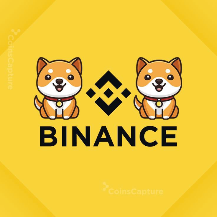 Rt and Comment "#BABYDOGE" If You Want #Binance To List It !!