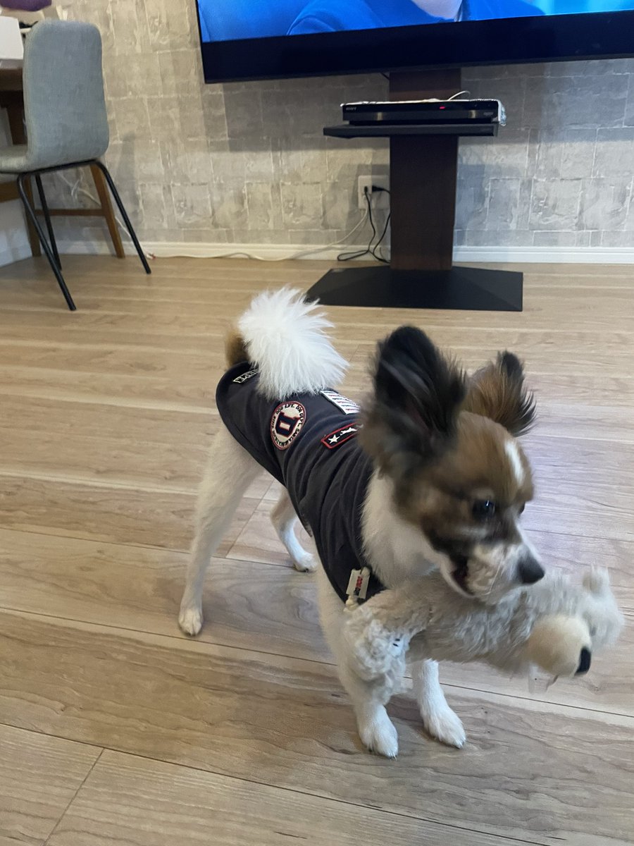 Loco20190408's tweet photo. 遊べって。 https://t.co/ABVw7lmgGO