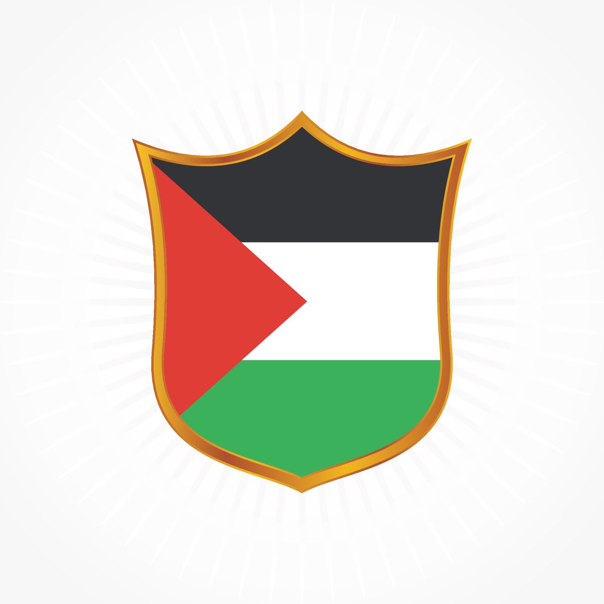 CLForsythCo's tweet photo. We support Palestine’s right to defend itself!

Let our brothers know we stand on the right side of history. https://t.co/wbhifh3pH1