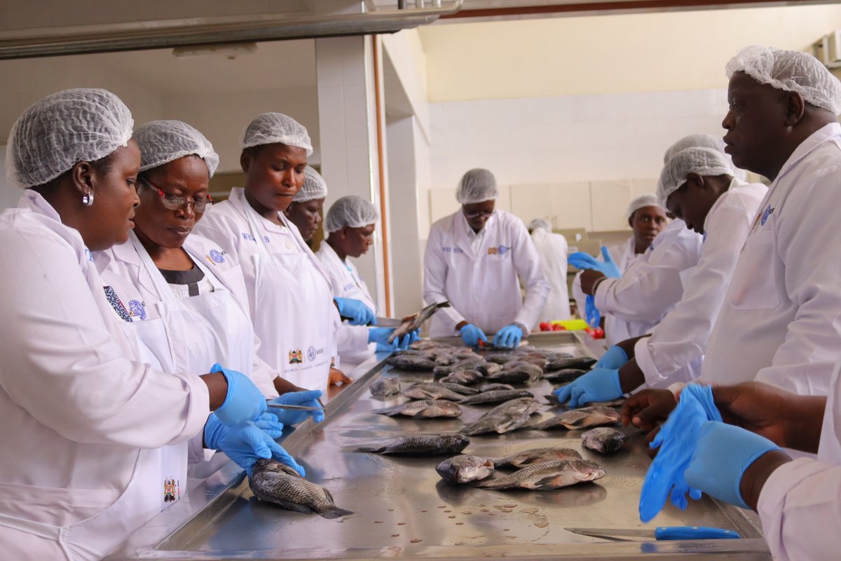 kirdi_kenya's tweet image. Day 1 &amp;amp; 2 of the ongoing WEE Hub – KIRDI incubation intervention at KIRDI Kisumu
to promote growth of women owned informal food processing enterprises located in
Coast, Eastern and Western regions of the country. #BlueEconomy #BusiaCounty #KisumuCounty