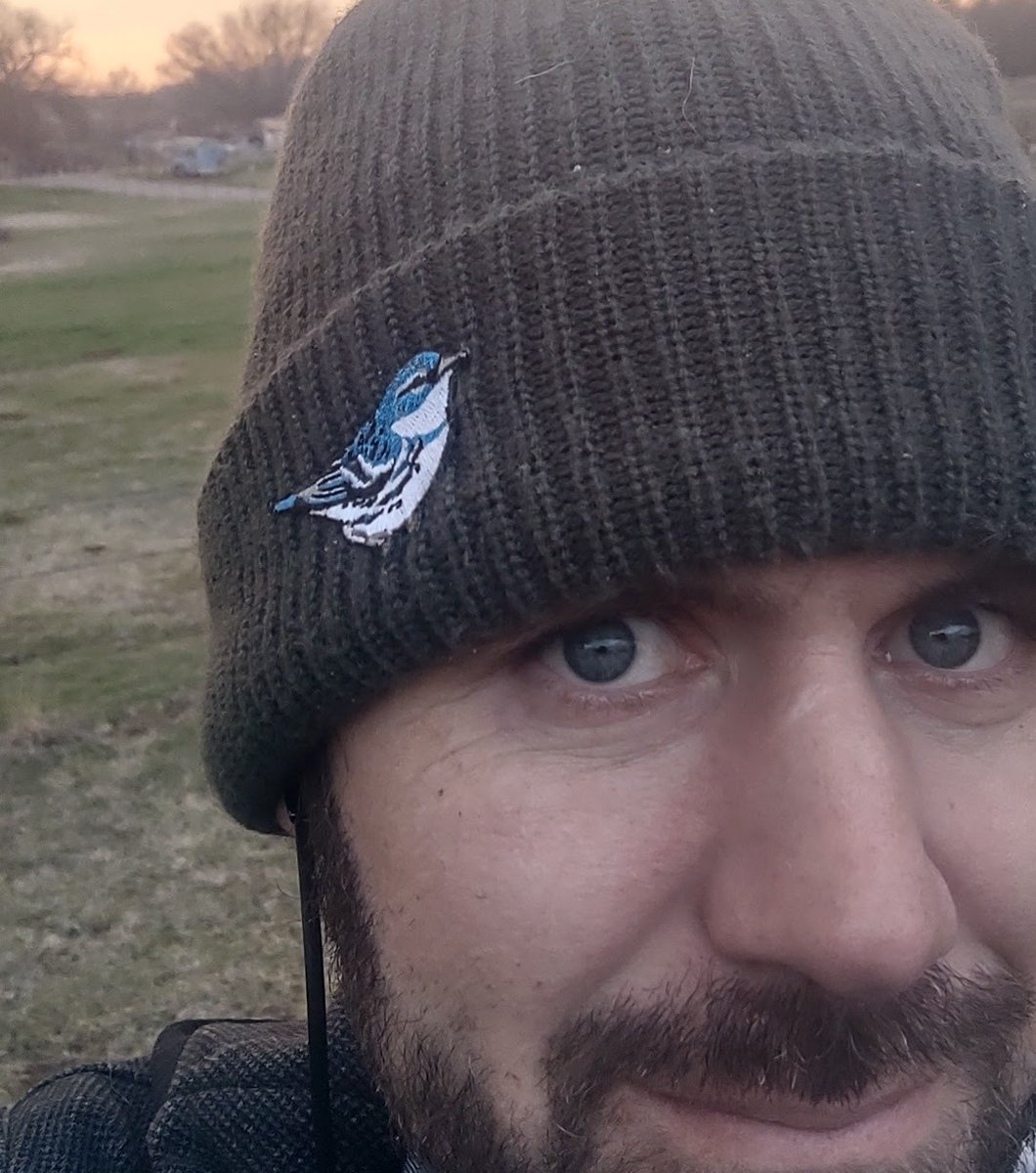 sethk 𓅃 tweet media