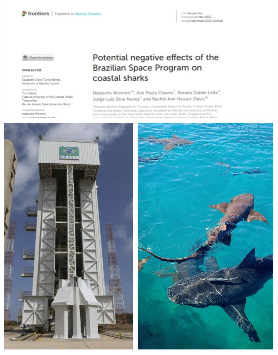 NWosnick's tweet image. Paper alert ⚠️
 
Check out our latest investigation about the potential impacts of the #spacerace on #sharks 🚀🦈

frontiersin.org/articles/10.33…