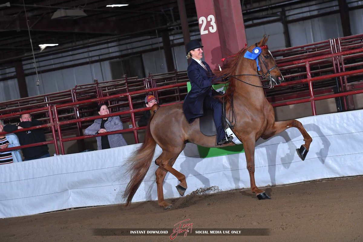 Looking forward to the next show: Rock Creek!