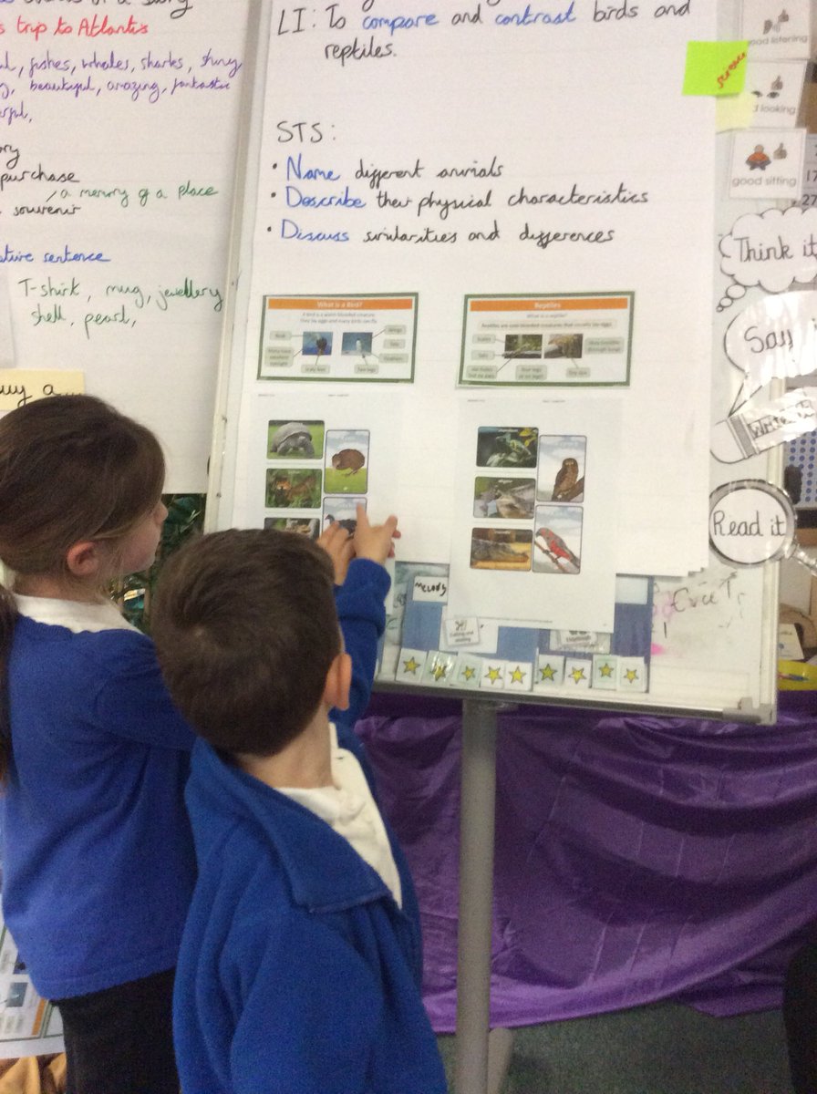 Foxfield Year 1 Hazel tweet media