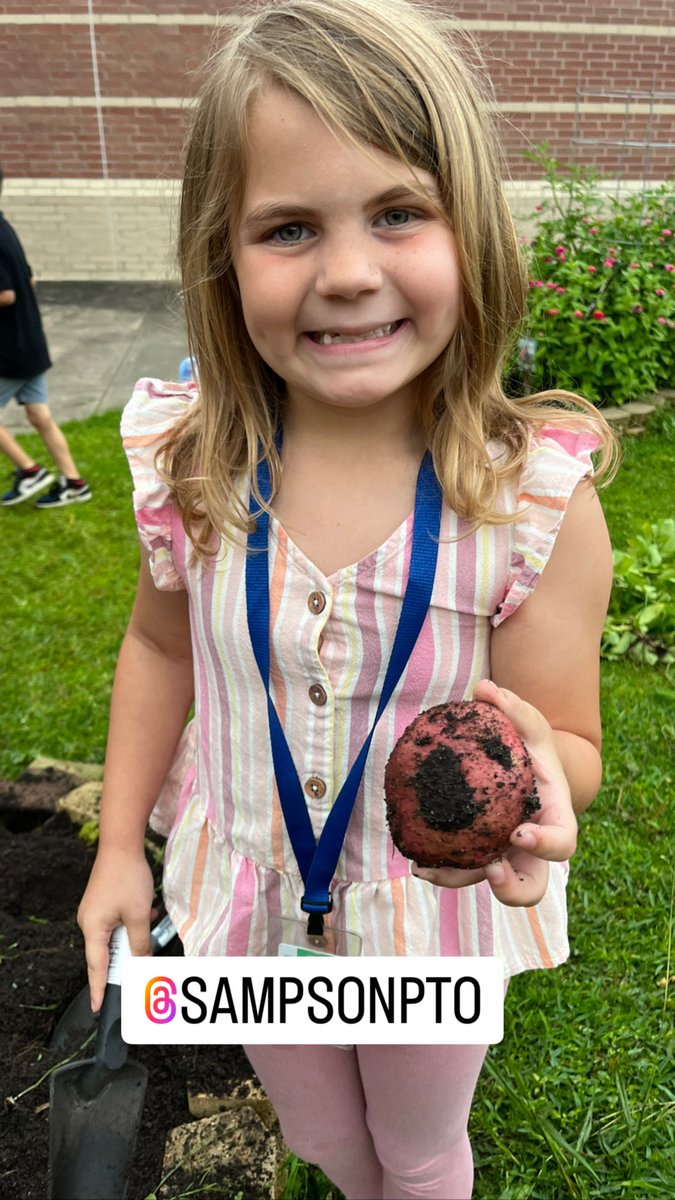 readygrowgarden's tweet image. @2ndgradeSampson students harvested 26 pounds of red potatoes from their #schoolgarden and donated them to the Cypress Assistance Ministries food pantry! #sampsonstrong #cypresstx @CyFairISD @PowerUpCafe @SampsonPTO #GardenDay
