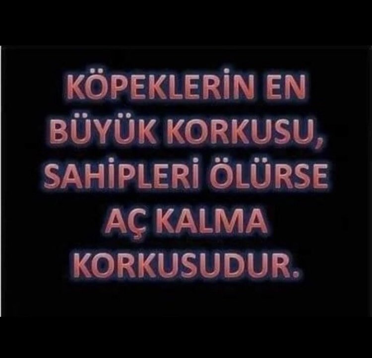 FERDİ KAYMAK (@ferdkaymak1) on Twitter photo 