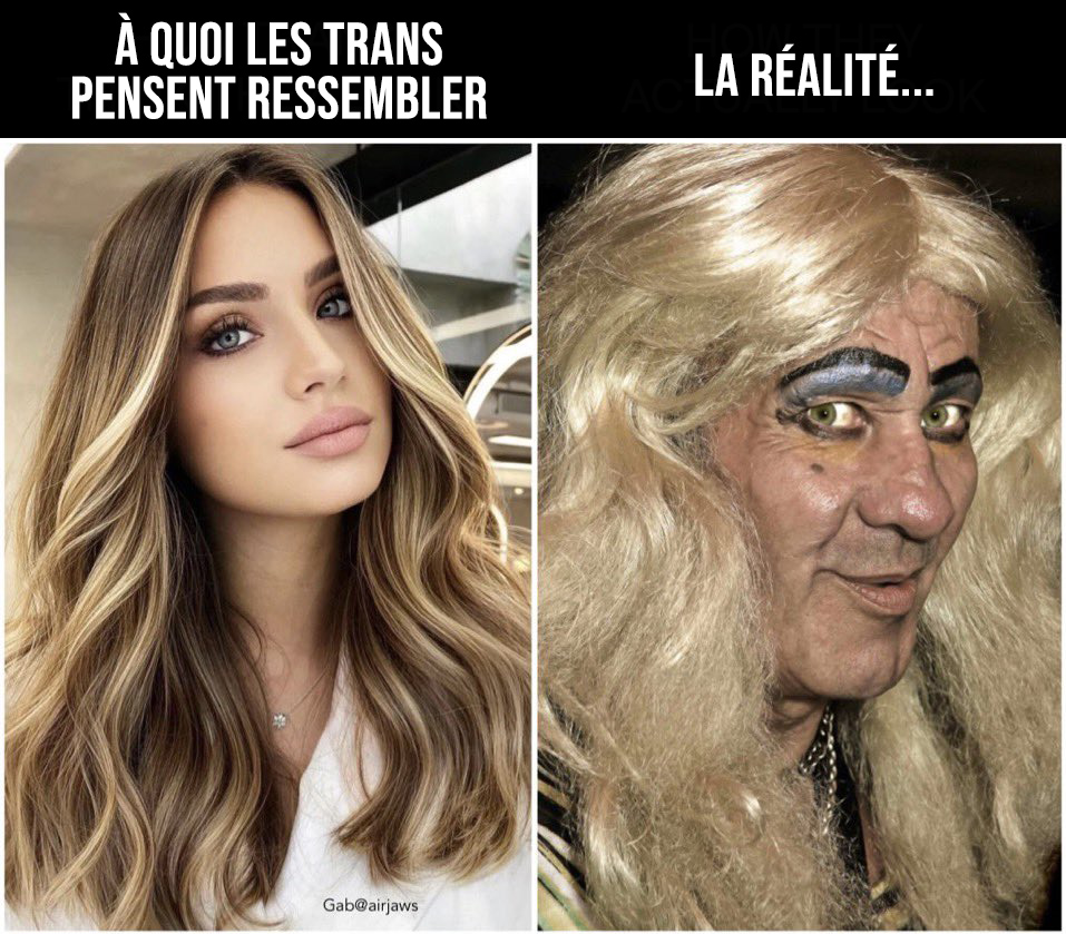 LLP_Le_Vrai's tweet photo. Tellement vrai 😂🤣😂🤣😂 https://t.co/EwWqv8yme9