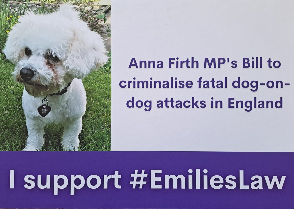 Anna_Firth's tweet photo. 🐕 Hosting my launch for 
#emilieslaw 

🐾Delighted to have so much support from fellow MPs! https://t.co/QZs6RCyhG7