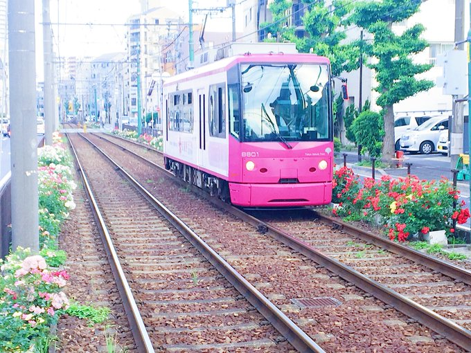 トダビューハイツの近隣のおすすめスポットをサイトにまとめています。 ご内覧の道のりも楽しんでいただきたくて書いてみました🚶‍♂️ 